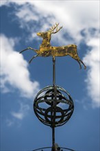 Metalwork of a deer in the gardens of the hunting lodge Clemenswerth