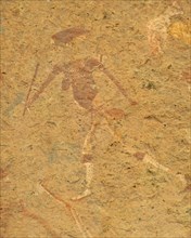 Peinture rupestre polychrome - Namibie