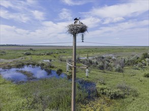 Aerial view of White storks in a nest on a pillar on blue sky with clouds background