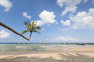Bending palm on Sairee beach