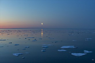 Moonrise over sea with small ice floes