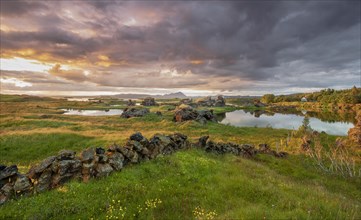 Stone wall and lava formations of volcanic rock rise from green meadow with dramatic sky in the evening light at Kalfastroend