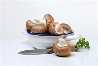 Brown cultivated mushrooms in shell