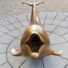 Bronze sculpture of Dolphin Fungie