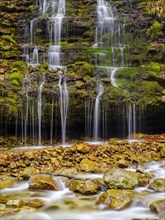 Small cascades flow over a moss-covered rock face
