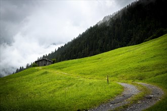 Old hut with path on mountain meadow