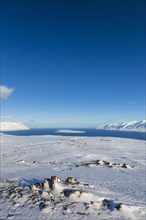 Akureyrifjord in winter with snowy mountains