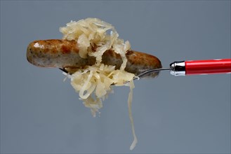 Nuremberg grilled sausages with sauerkraut on fork