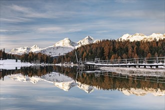 Autumnal larches with snow-covered mountain peaks are reflected in Lake Staz