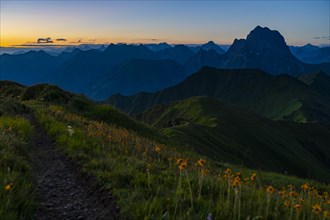 Small mountain trail with flower meadow at sunrise