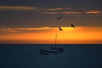 Fishing boats and pelicans at sunset with clouds over the Pacific Ocean