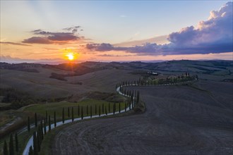 Agriturismo Baccoleno with cypress avenue