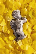 Angel figure lies in yellow leaves
