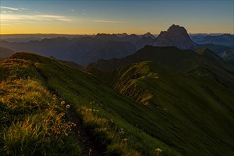 Small mountain path with flower meadow and Allgaeu Alps behind it at sunrise
