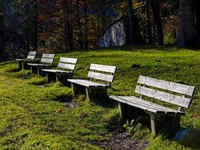 Empty park benches