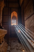 Buddhist young monk in red robe reading standing in front of rays of light in a temple