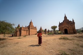 Buddhist young monk in red robe stands with umbrella in front of a temple