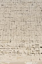 Hieroglypic carvings on wall at the ancient temple of Medinat Habu