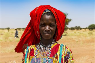 Colourful dressed woman travels with a caravan of Peul nomads and their animals in the Sahel of Niger