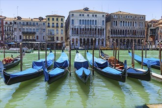 Parking gondolas in the Canale Grande
