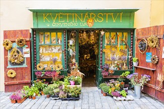 Flower shop in the Hradschiner Vorstadt