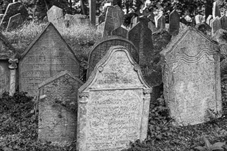 Gravestones in the old Jewish cemetery