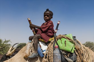Little boy on a camel with a caravan of Peul nomads with their animals in the Sahel of Niger
