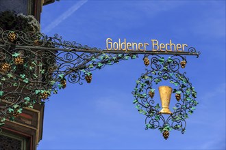 Golden cup