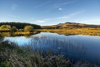 Sancy massif at back in autumn