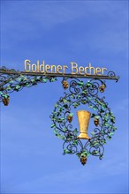 Golden cup