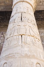 Column with reliefs