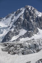 Mountaineer on Glacier du Tour