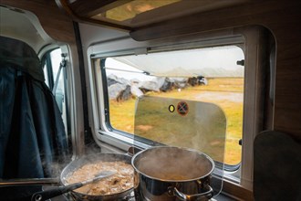 Spaghetti with creamy cream sauce cooked on gas stove in Campervan