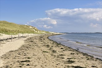 Shore of the Wadden Sea at Odde