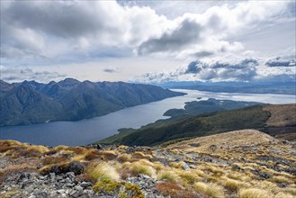 View of the South Fiord of Lake Te Anau
