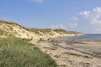 Shore of the Wadden Sea at Odde