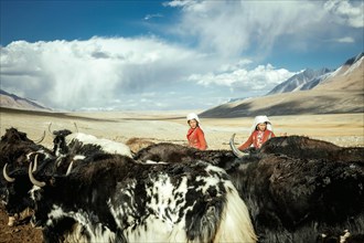 Women with yaks
