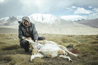 Man skinning a slaughtered sheep