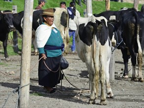 Old woman with cow at the weekly cattle market