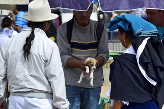 Sale of a dog puppy at the weekly cattle market