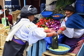 Indigenous woman selling vegetables at the market