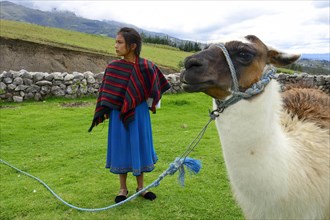 Indigenous girl and llama in a meadow