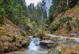 Ferchenbach on the hiking trail to Ferchensee