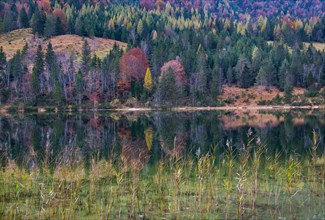 Ferchensee with autumn colours