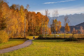 Autumn landscape with hiking trail at Staffelsee