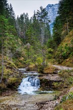 Ferchenbach on the hiking trail to Ferchensee