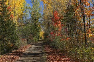 Hiking trail through autumn landscape