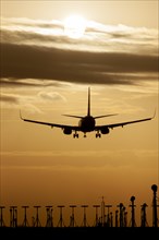 Boeing 737 aircraft landing at an airport at sunset