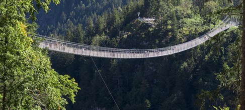 Pedestrian suspension bridge highline179