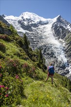 Hiker in front of glacier